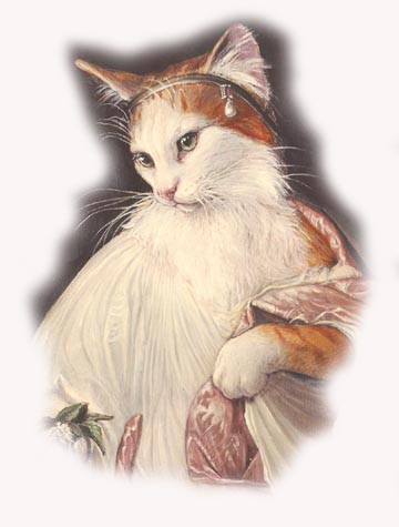 Copia di Catz 7